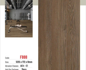 FORTUNE 8MM F888